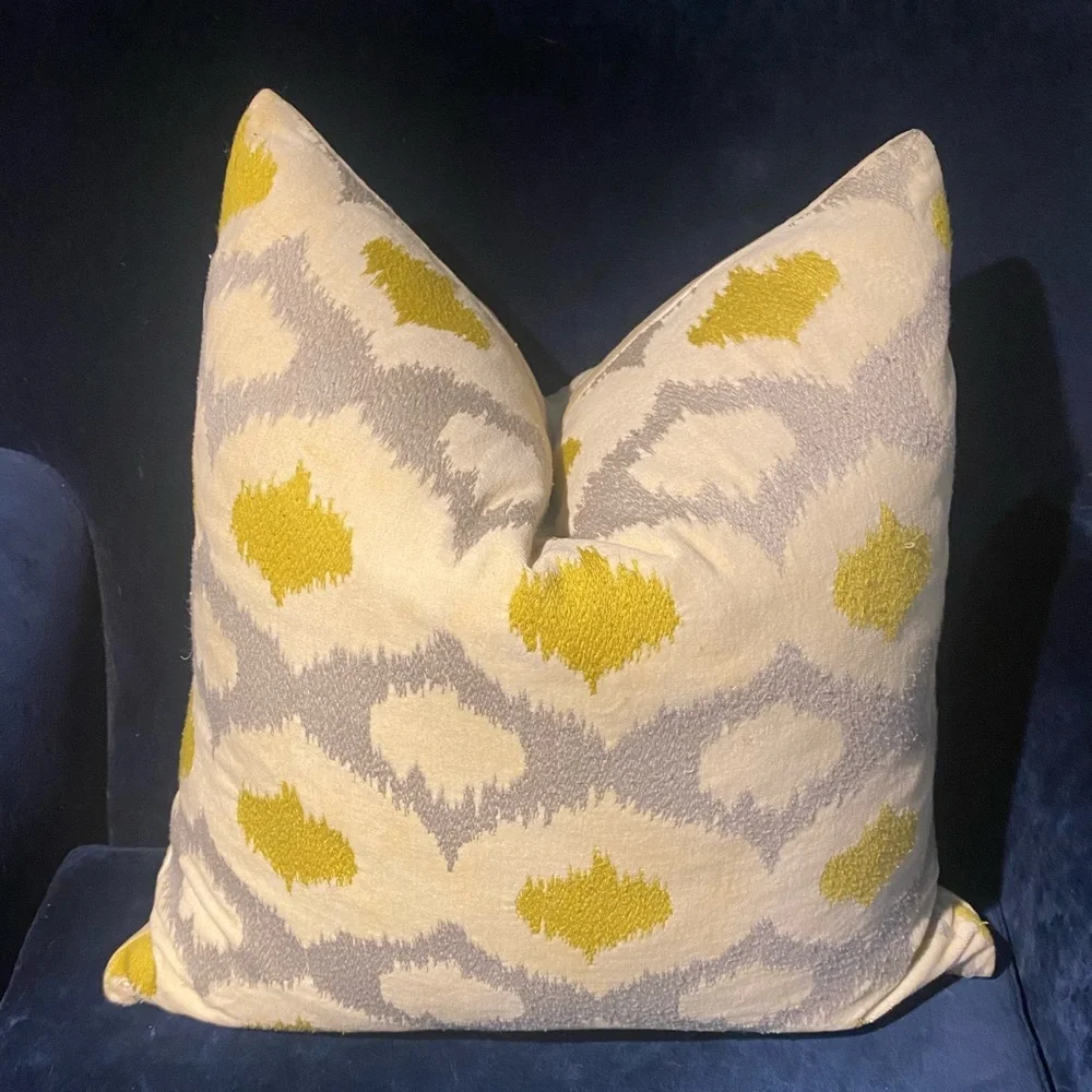 West Elm Ikat Pillow Cover